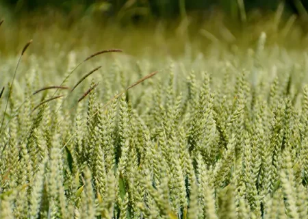 Lancement du programme PERFORMANCES…