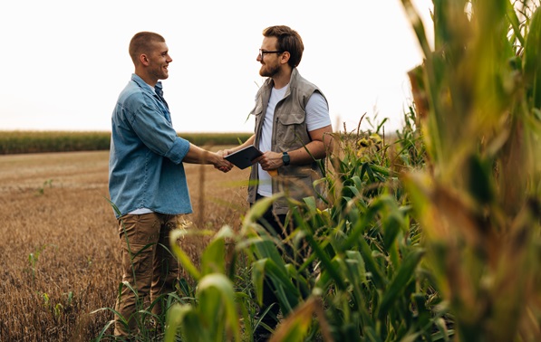 Les VégelliaDES 2026