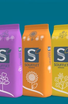 Soufflet Seeds